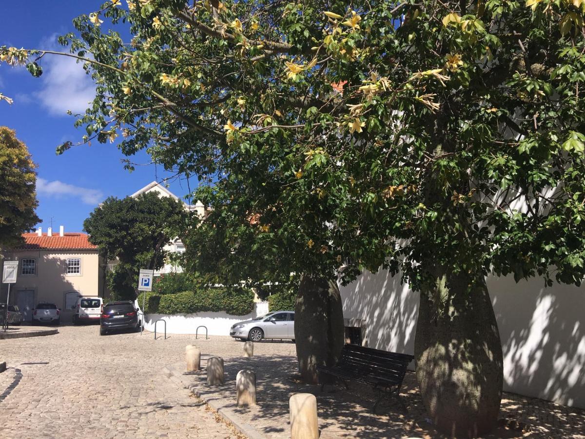 Ninho Salino Hotel Cascais Bagian luar foto