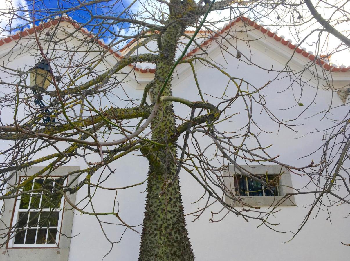 Ninho Salino Hotel Cascais Bagian luar foto